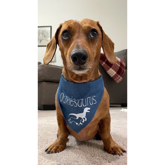 Dachshund doxiesaurus dinosaur chambray bandana - Picture 1 of 3